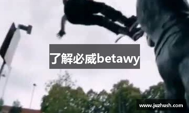 了解必威betawy